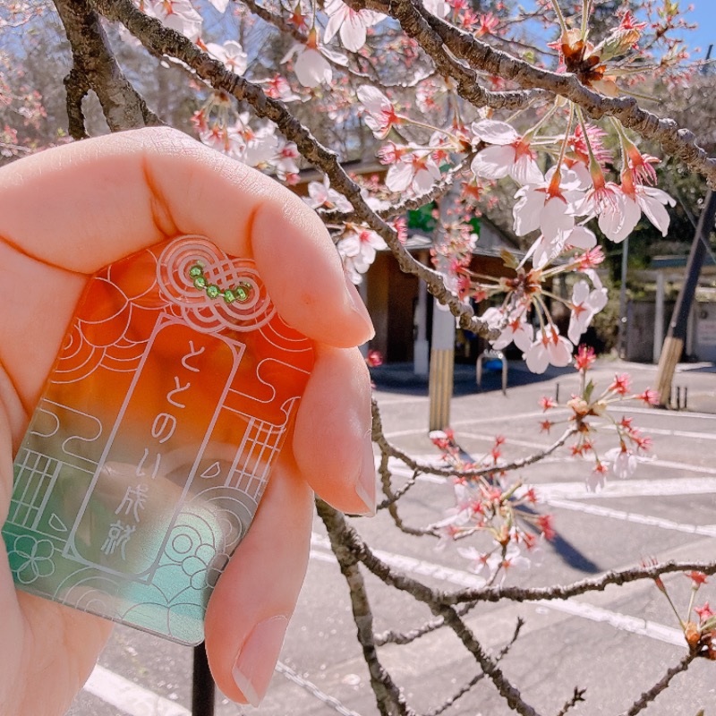 みゃーびさんのごまどう 湯っ多里館のサ活写真