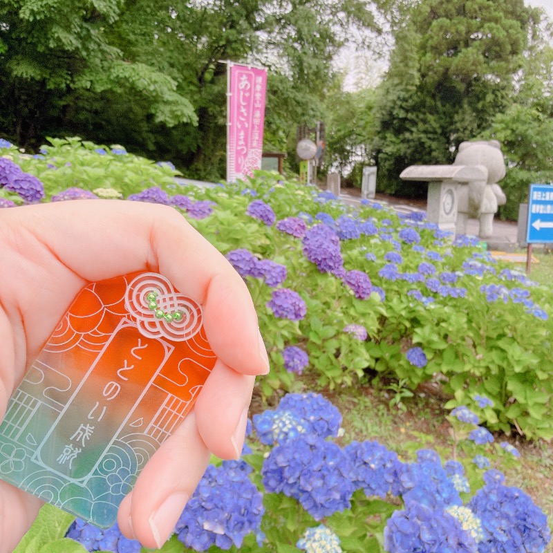 みゃーびさんのごまどう 湯っ多里館のサ活写真