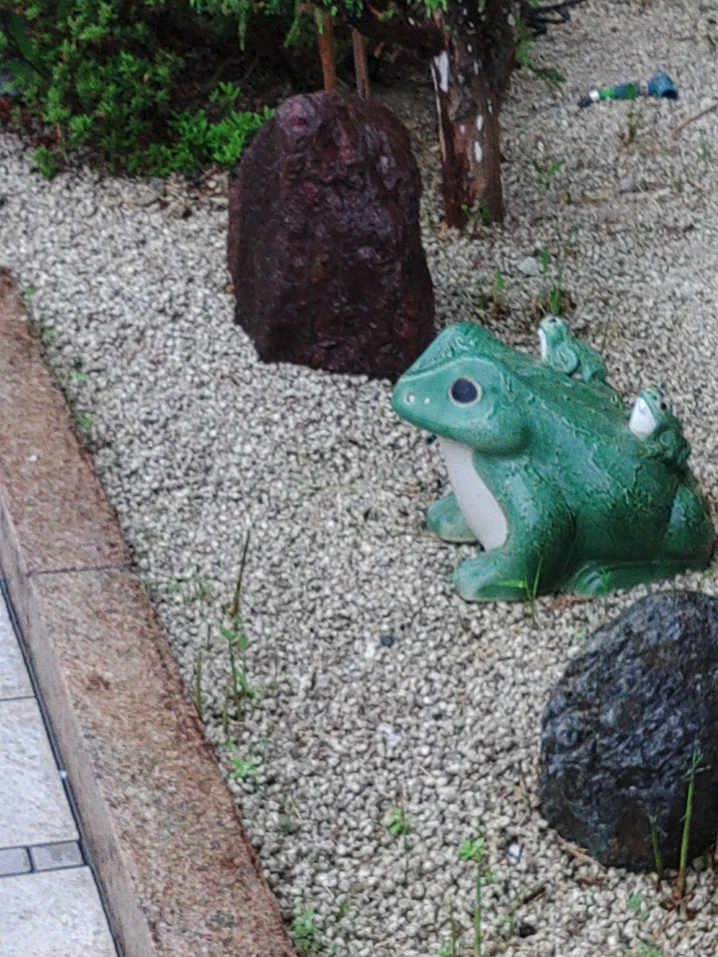 マサマサさんの豊田挙母温泉 おいでんの湯のサ活写真