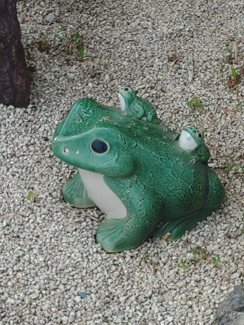 マサマサさんの豊田挙母温泉 おいでんの湯のサ活写真