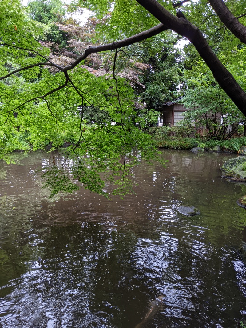 サウナ太郎さんの豊島園 庭の湯のサ活写真