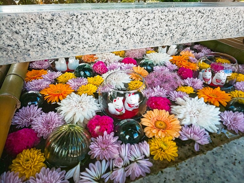 ゆばさんの天然温泉もみの木のサ活写真