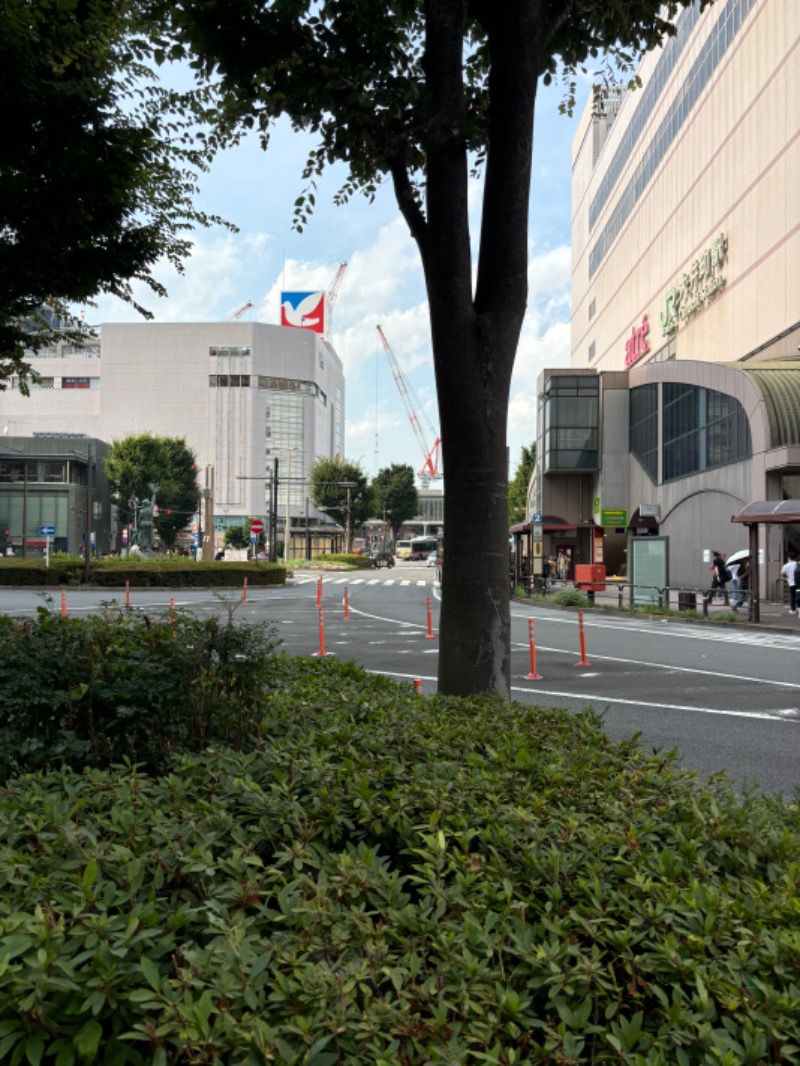 龍騎さんのおふろの王様 大井町店のサ活写真