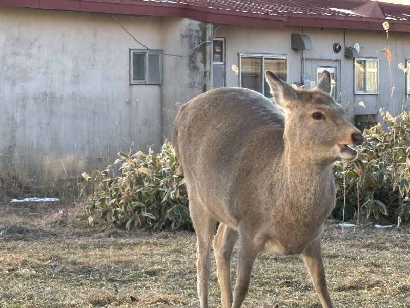 Mr.Qさんの別海町ふるさと交流館のサ活写真