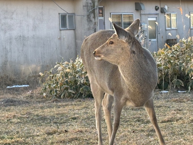 Mr.Qさんの別海町ふるさと交流館のサ活写真