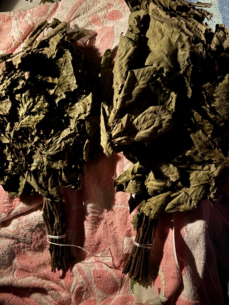 Mr.Qさんの別海町ふるさと交流館のサ活写真