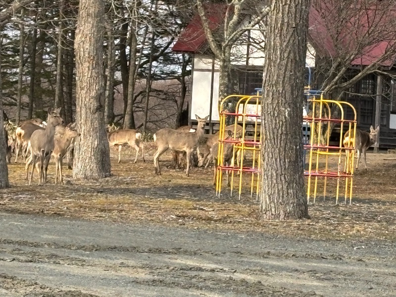 Mr.Qさんの別海町ふるさと交流館のサ活写真