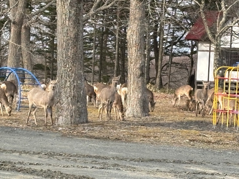 Mr.Qさんの別海町ふるさと交流館のサ活写真