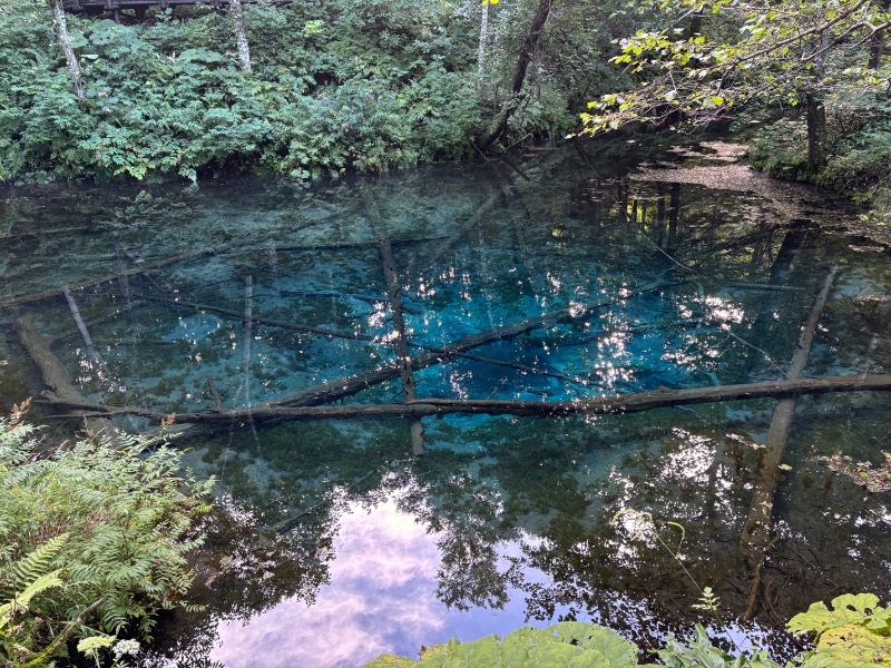 Mr.Qさんの別海町ふるさと交流館のサ活写真
