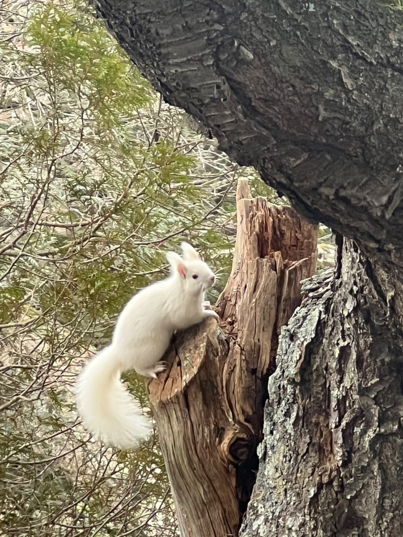 Mr.Qさんの浜中町ふれあい交流・保養センター 霧多布温泉 ゆうゆのサ活写真