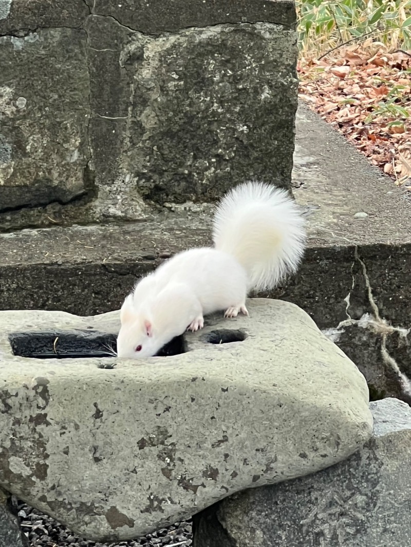 Mr.Qさんの浜中町ふれあい交流・保養センター 霧多布温泉 ゆうゆのサ活写真