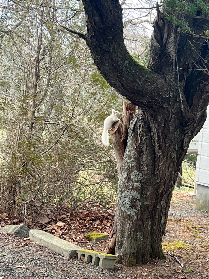 Mr.Qさんの浜中町ふれあい交流・保養センター 霧多布温泉 ゆうゆのサ活写真