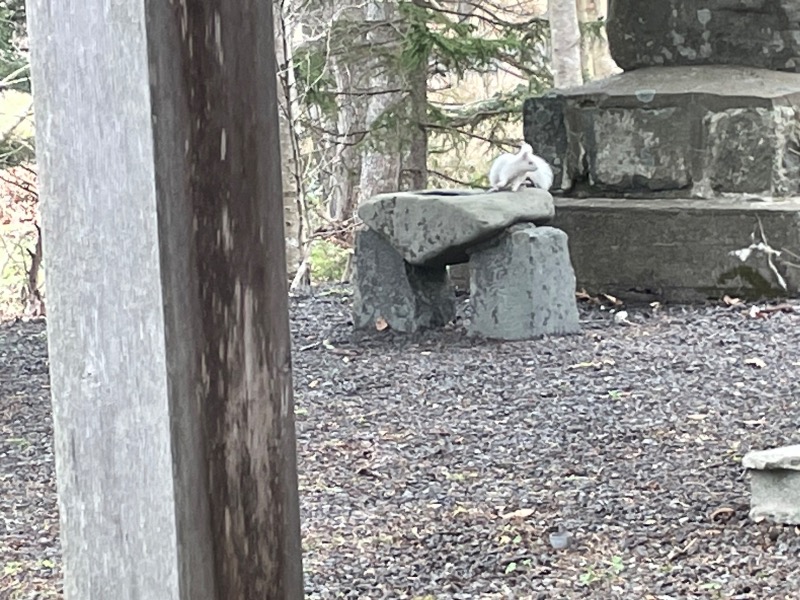 Mr.Qさんの準天然温泉 みなと湯のサ活写真