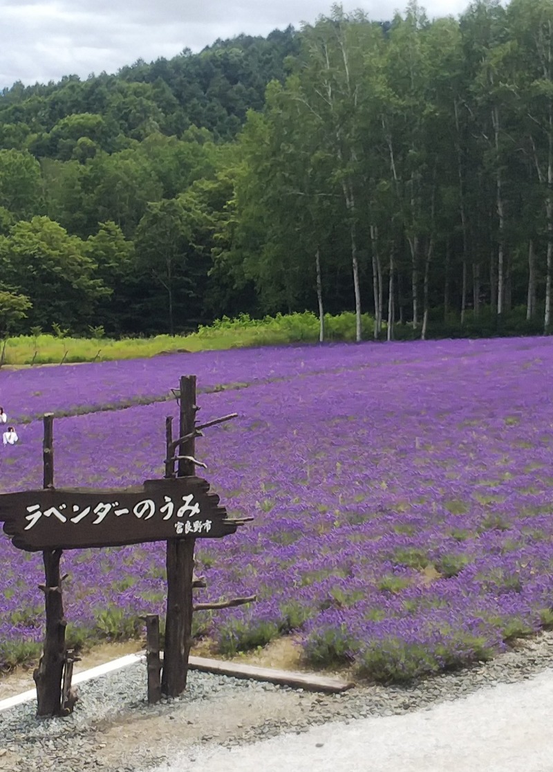 サトリンさんのハイランド ふらののサ活写真