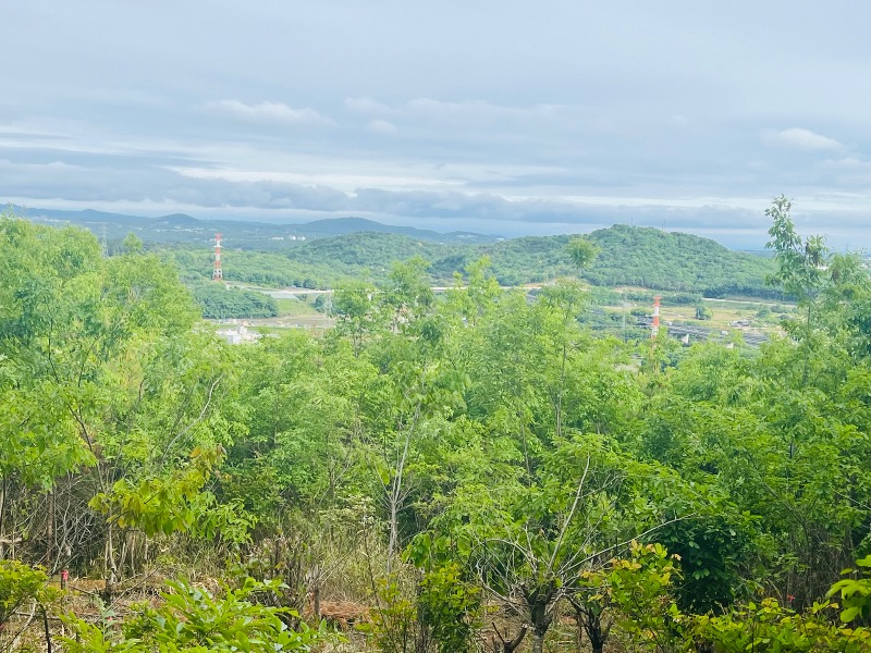 まつりんごさんの白雲谷温泉ゆぴかのサ活写真