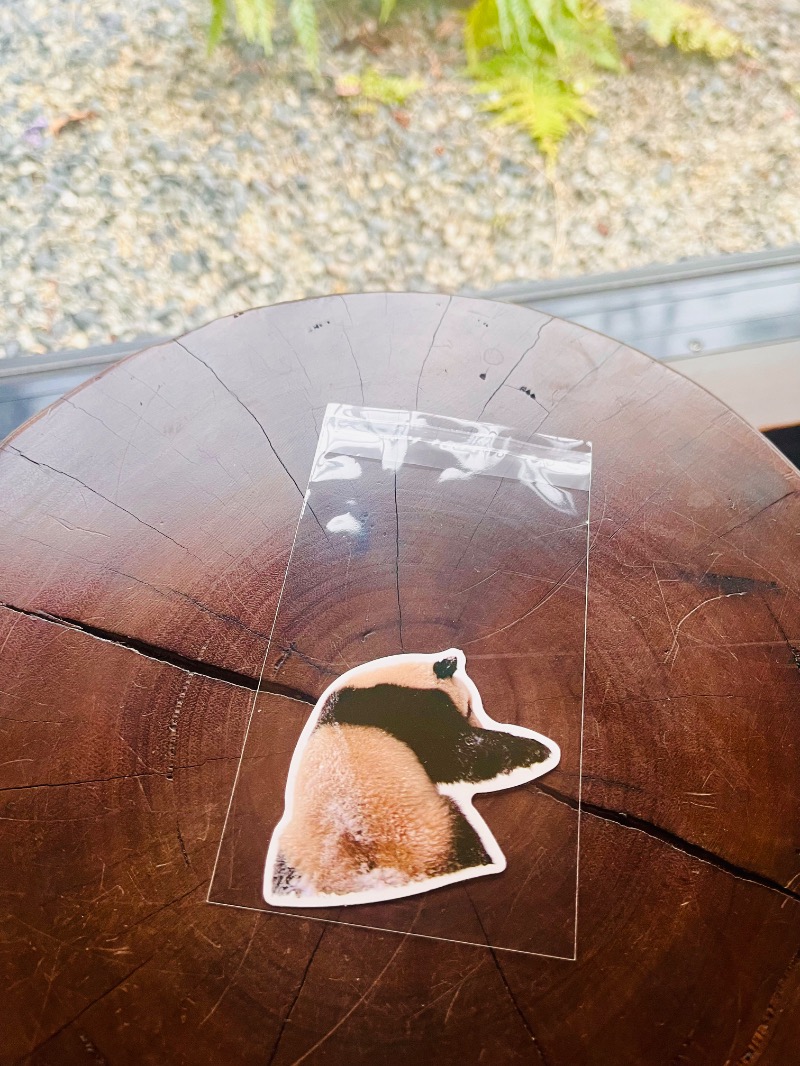 まつりんごさんの天然温泉湯庵のサ活写真