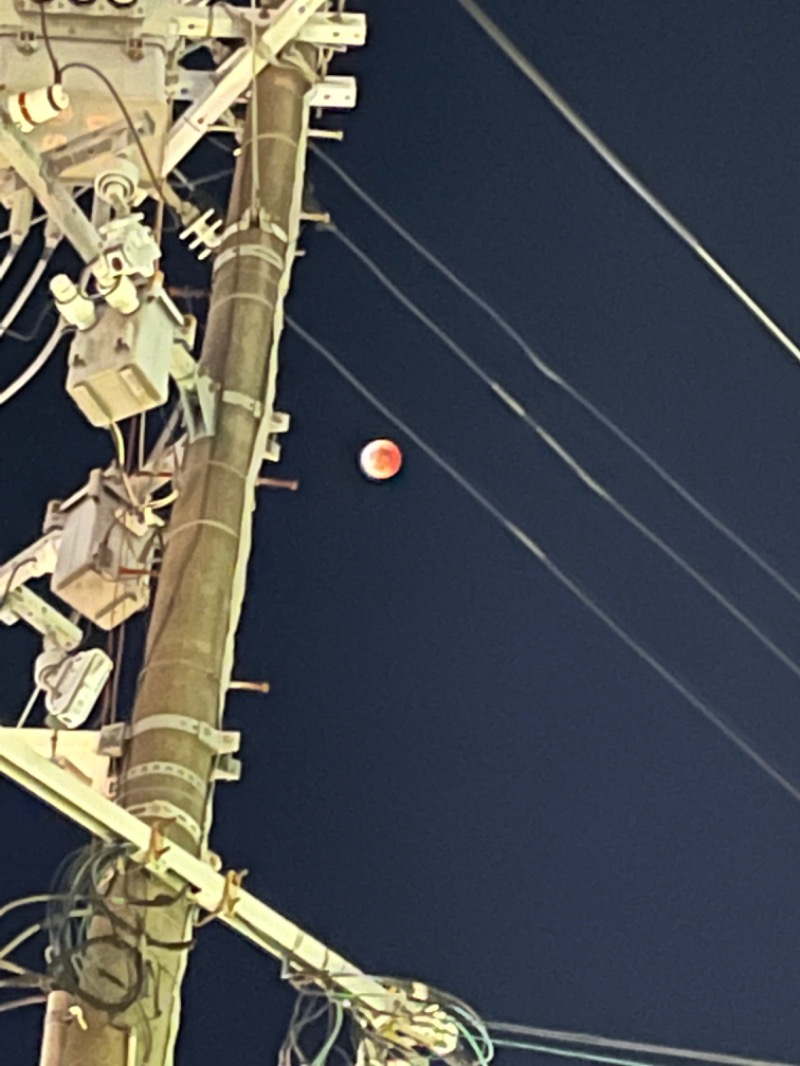 まつりんごさんの神戸クアハウスのサ活写真