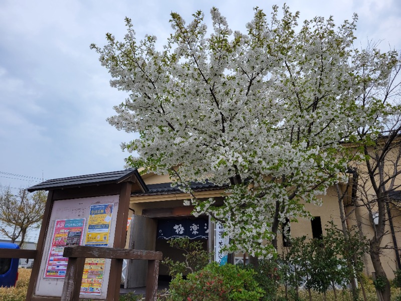 よーこさんの極楽湯 松崎店のサ活写真