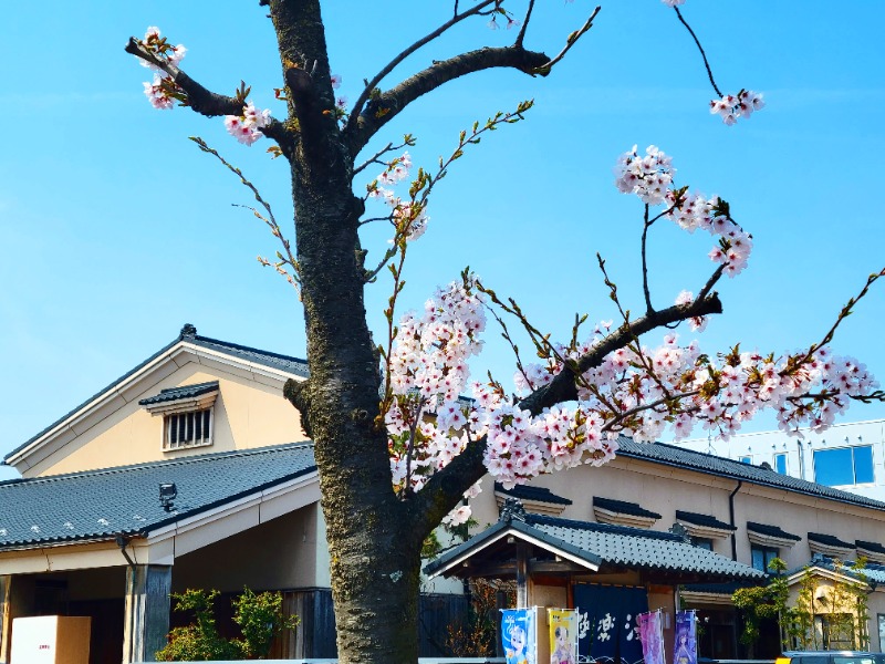 よーこさんの極楽湯 女池店のサ活写真