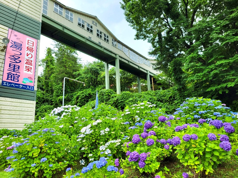 よーこさんのごまどう 湯っ多里館のサ活写真