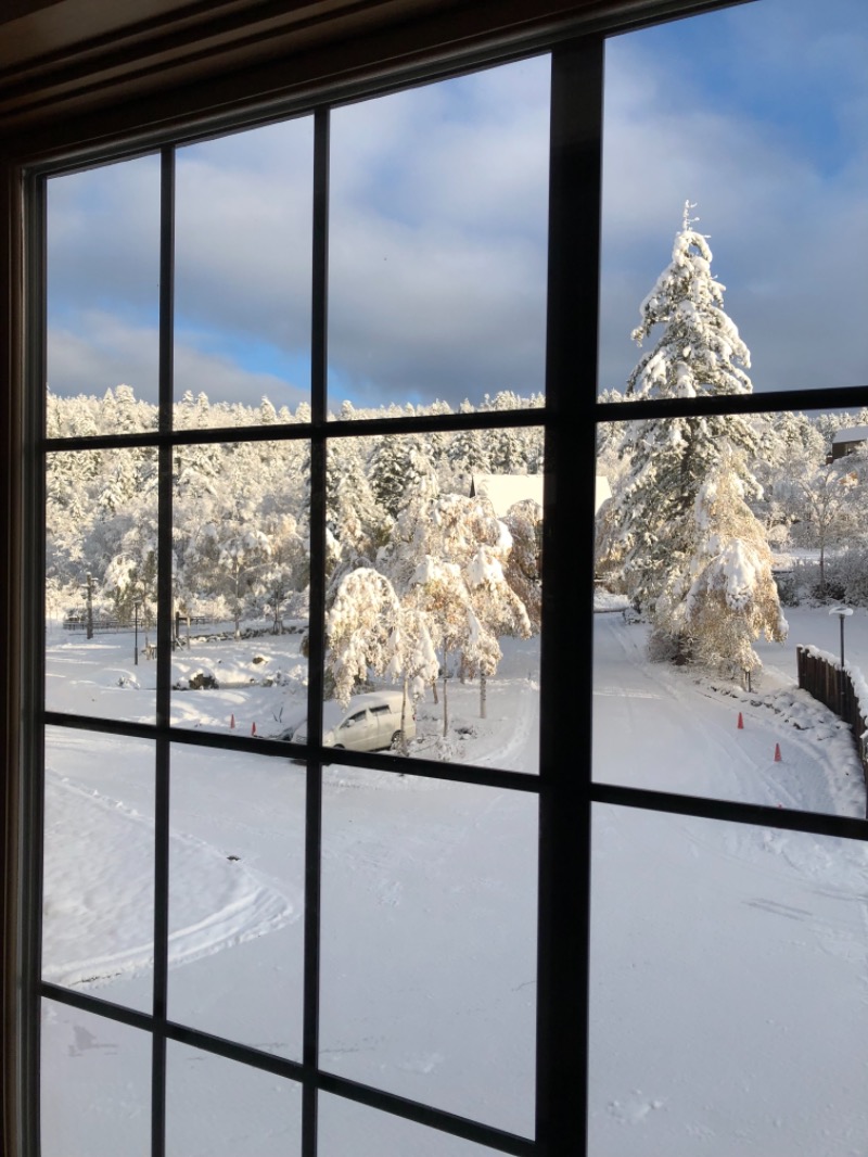 いくらさんのラビスタ大雪山のサ活写真