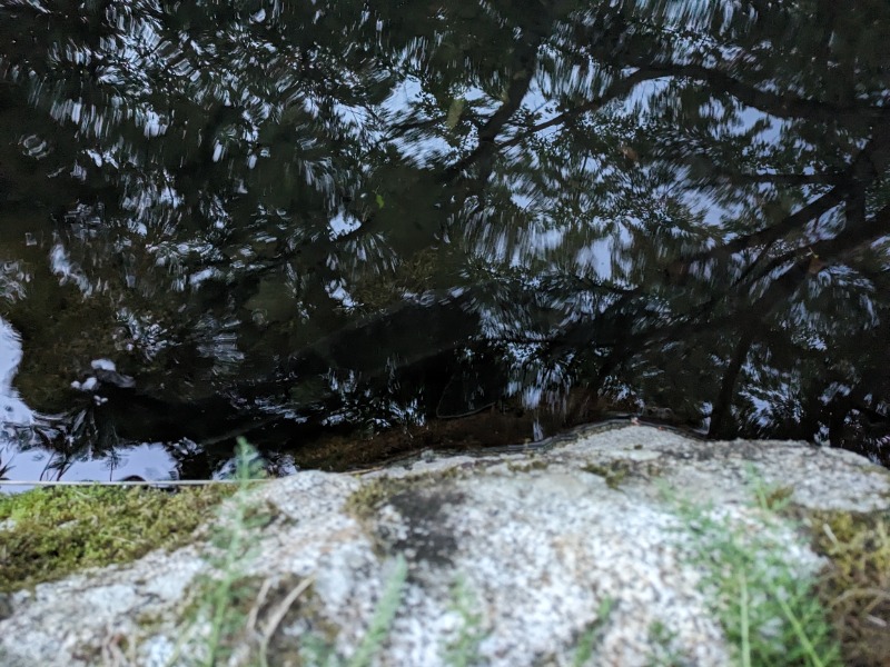 孤高のちゃん丁目㌧トゥ広場で乾杯をさんの夏虫のお湯っこのサ活写真