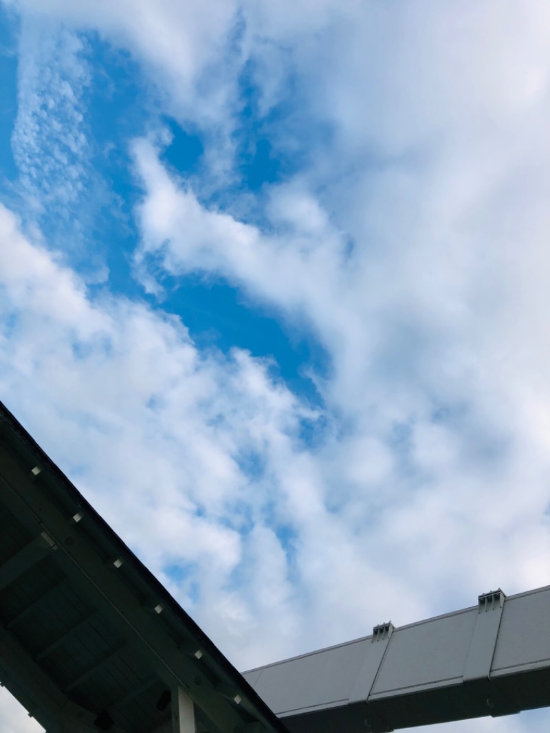 きょんさんの天然温泉 平和島のサ活写真