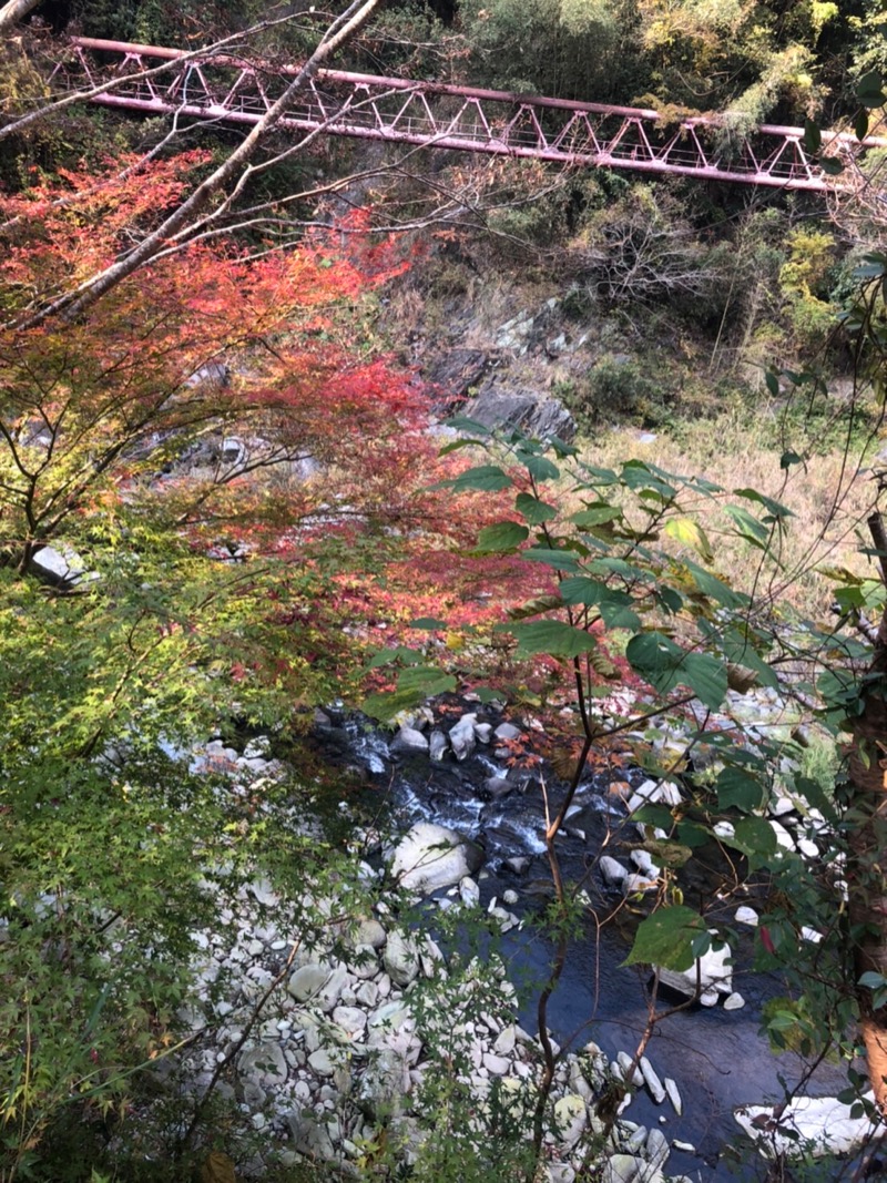 tomo723さんのふいご温泉のサ活写真