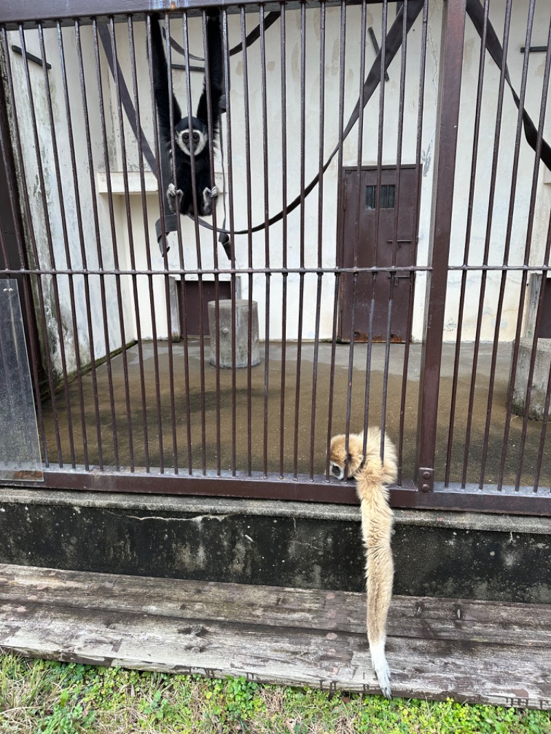 クッキーさんのサウナサンのサ活写真