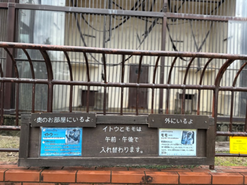 クッキーさんのサウナサンのサ活写真