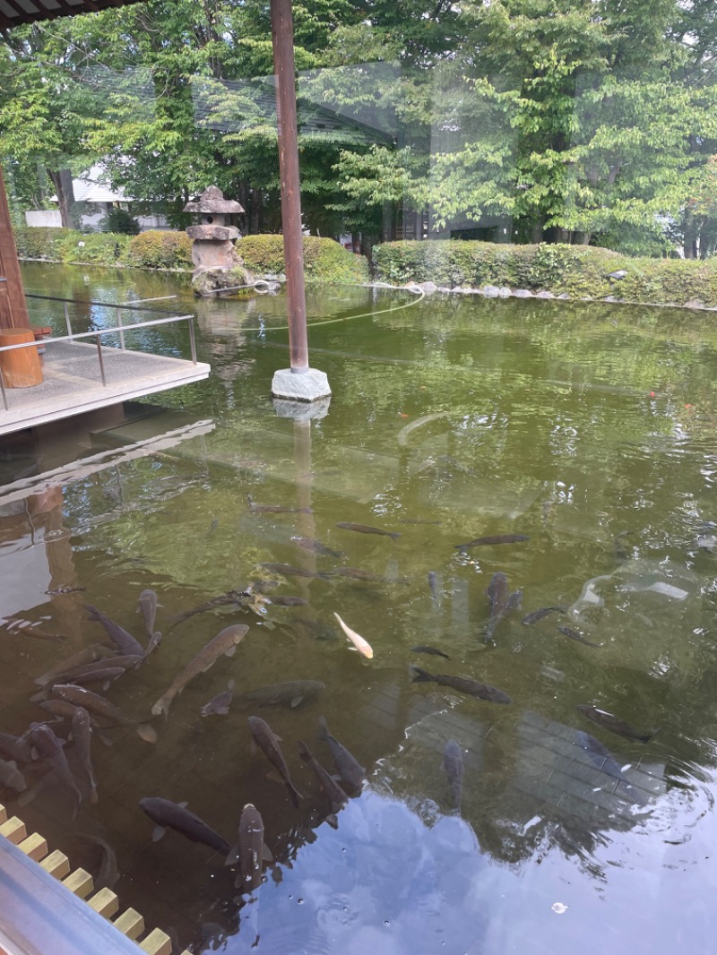 maomugiさんの望郷の湯のサ活写真
