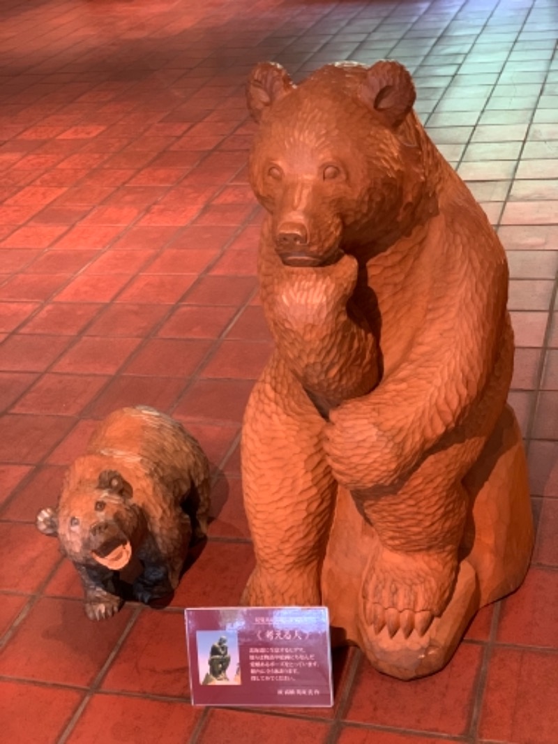 ふじたさんの森のスパリゾート 北海道ホテルのサ活写真