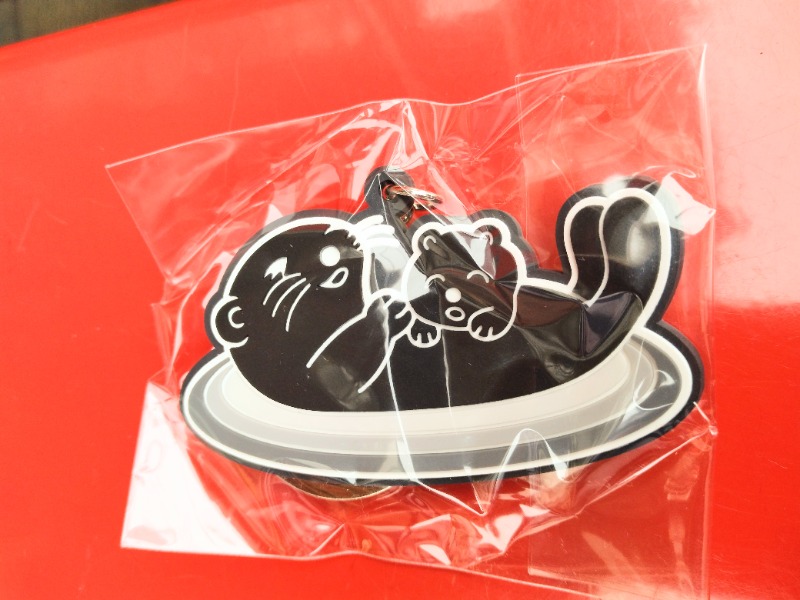 kentaroさんの湯乃泉 草加健康センターのサ活写真