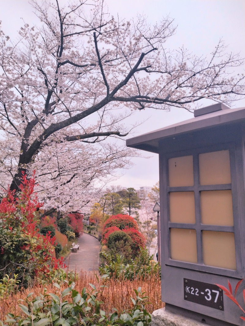 kentaroさんのテルメ末広のサ活写真