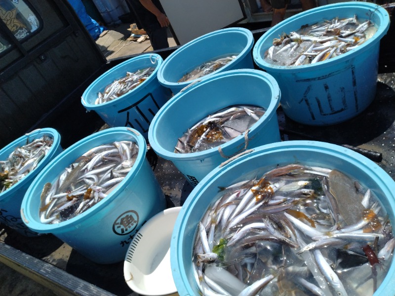 kentaroさんの鶴の湯(つるの湯)のサ活写真