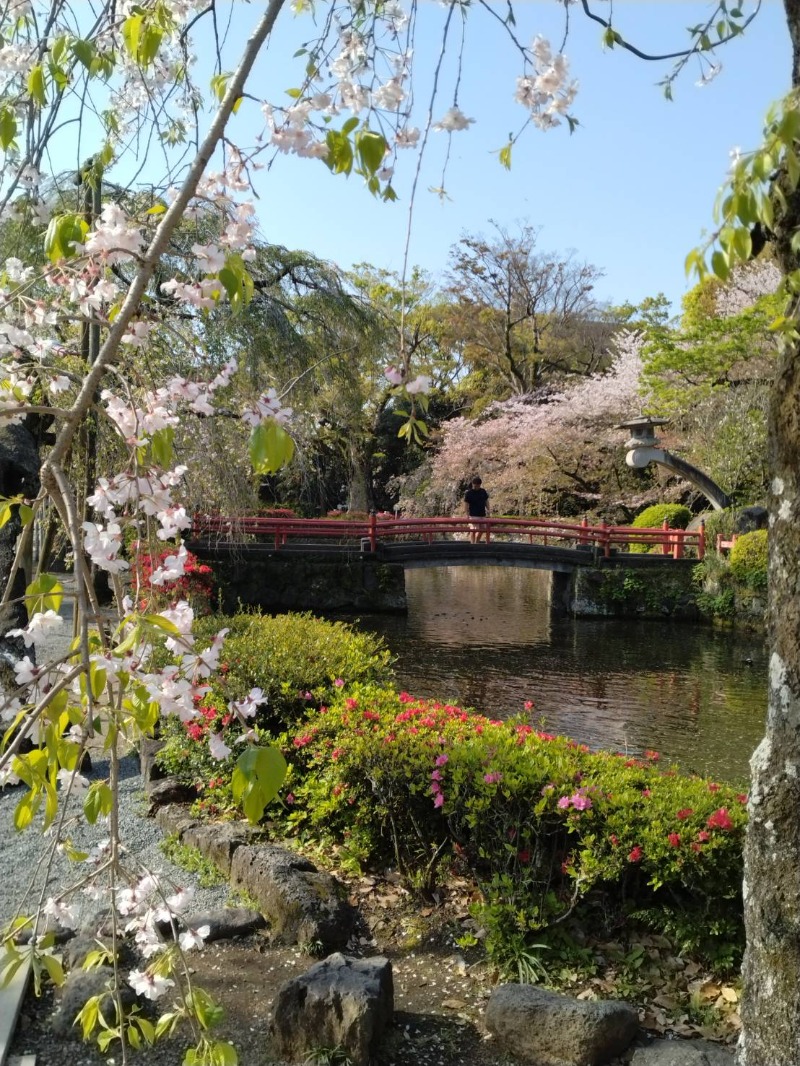 kentaroさんの富嶽の湯 ドーミーイン三島のサ活写真