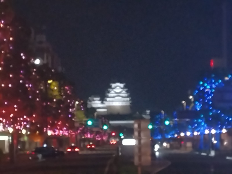 kentaroさんの姫路グリーンホテル立町のサ活写真