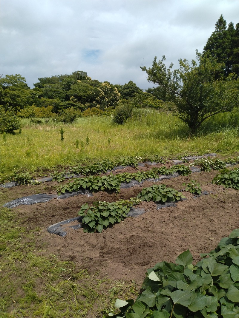 kentaroさんのむつざわ温泉つどいの湯のサ活写真