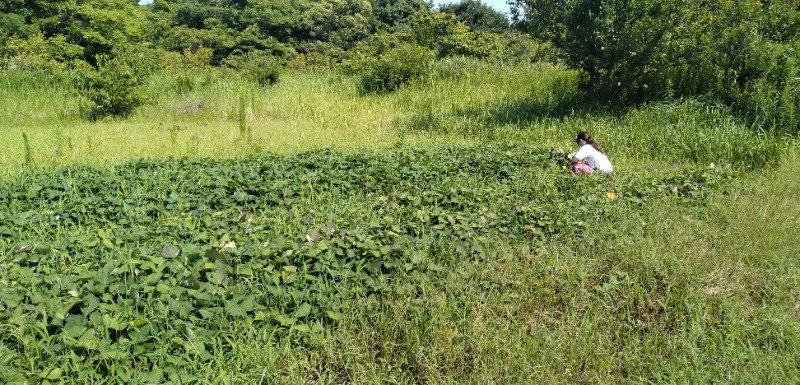 kentaroさんのむつざわ温泉つどいの湯のサ活写真