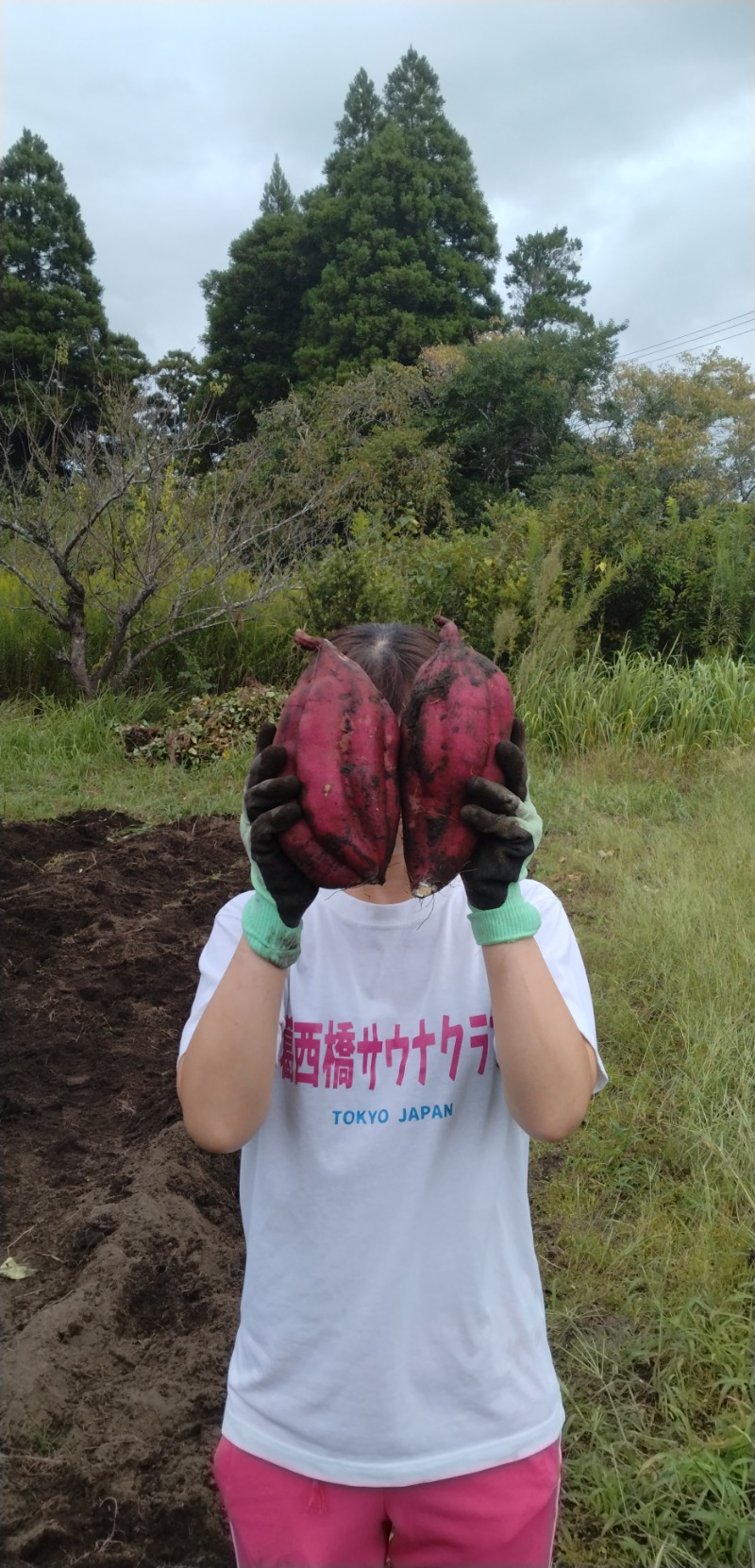 kentaroさんのむつざわ温泉つどいの湯のサ活写真