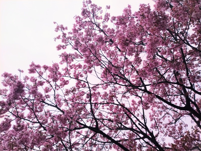 kentaroさんのsauna&bath NiHITARUのサ活写真