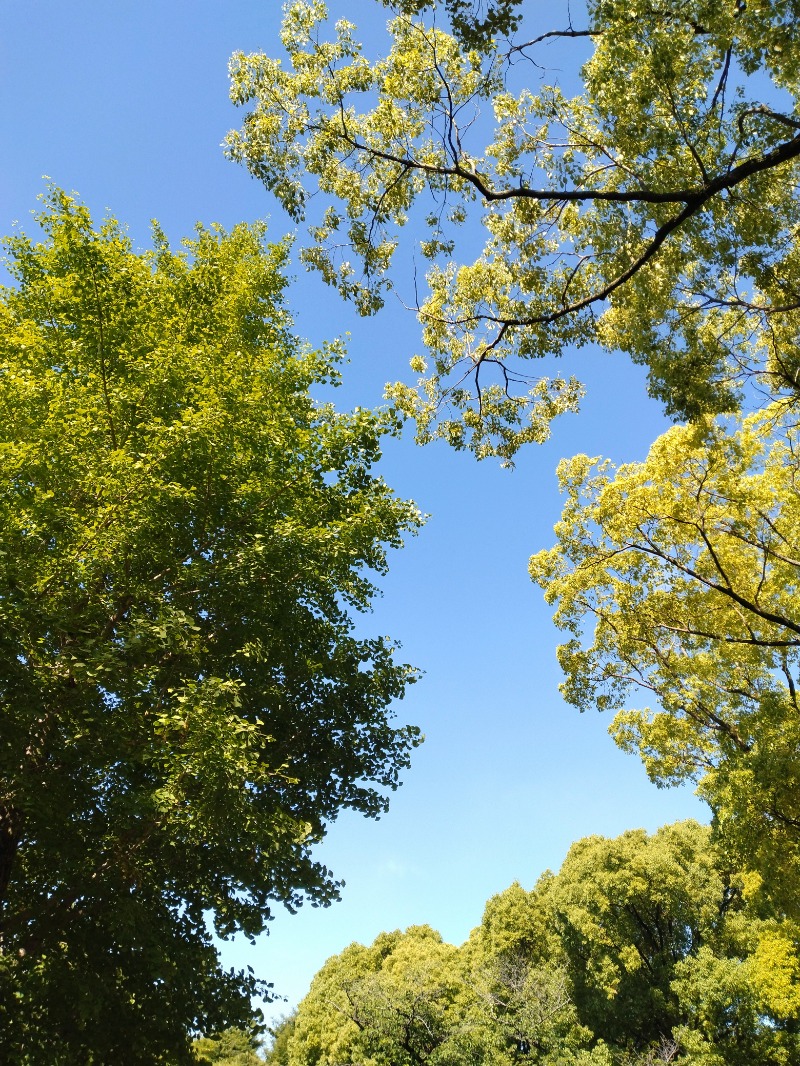 kentaroさんのsauna&bath NiHITARUのサ活写真