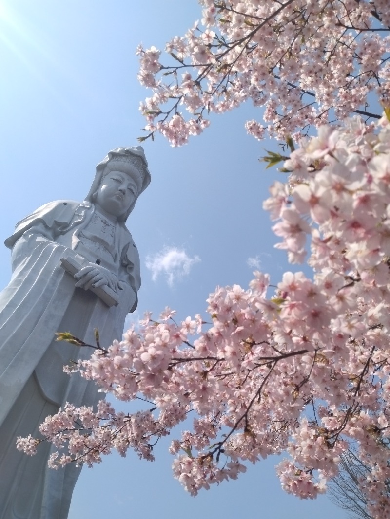 kentaroさんの観音山サウナ蒸寺のサ活写真