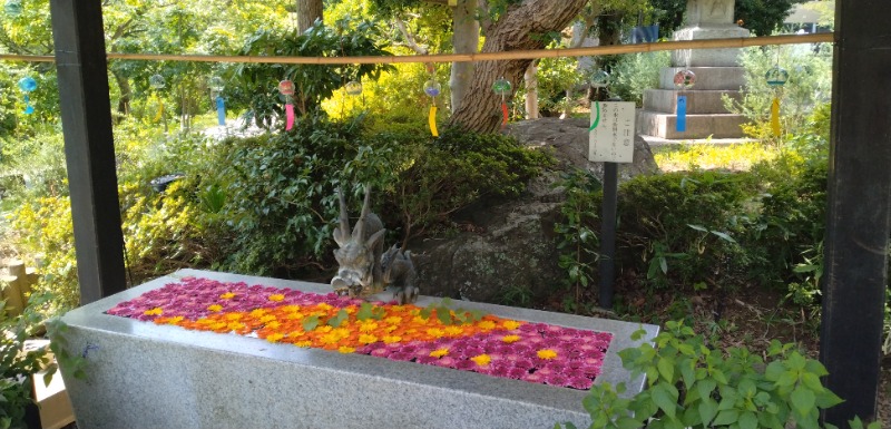 kentaroさんのよみうりランド眺望温泉 花景の湯のサ活写真