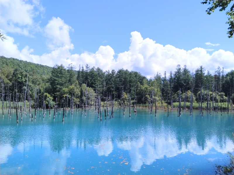 kentaroさんの吹上温泉保養センター 白銀荘のサ活写真