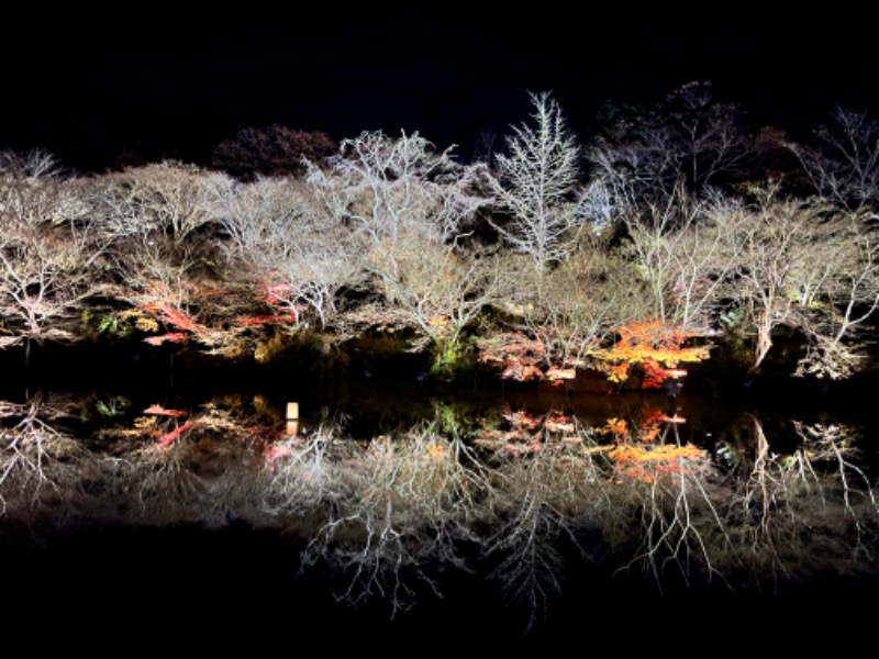 水と炎の人さんの御船山楽園ホテル  らかんの湯のサ活写真