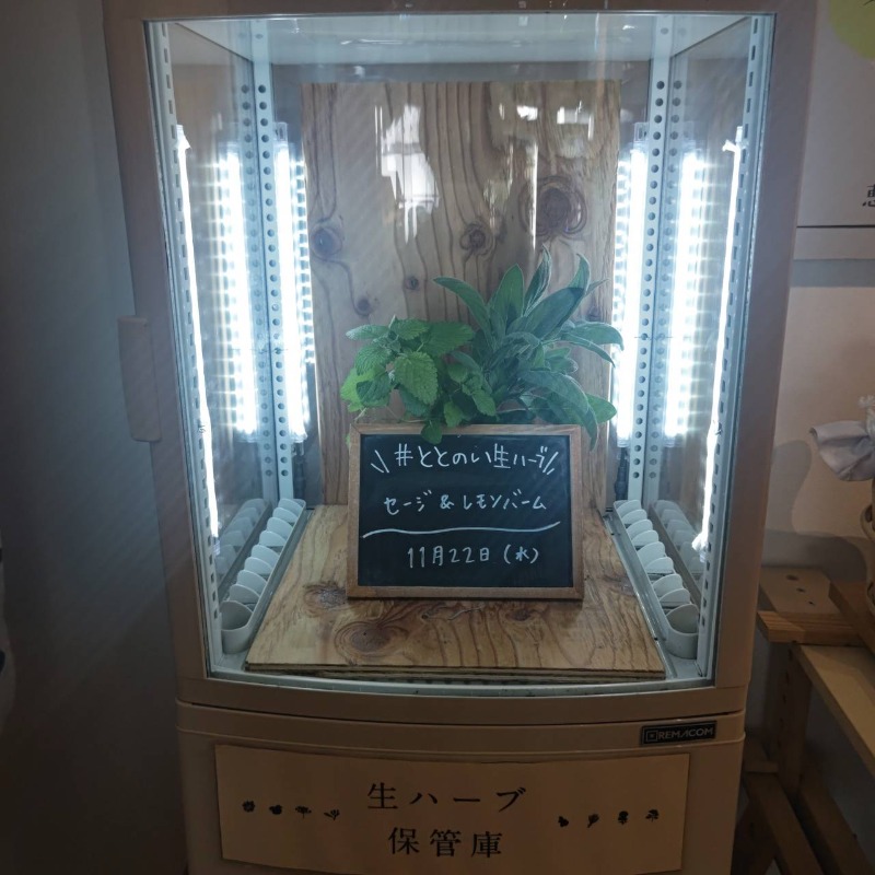 ふじこさんの岐阜各務原 恵みの湯のサ活写真