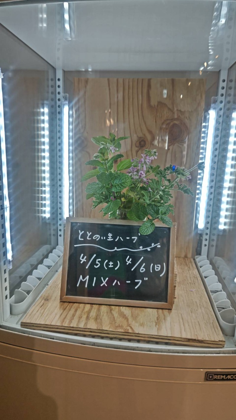 ふじこさんの岐阜各務原 恵みの湯のサ活写真