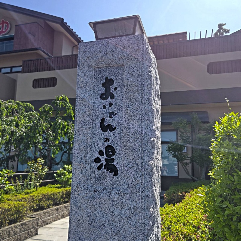 ふじこさんの豊田挙母温泉 おいでんの湯のサ活写真