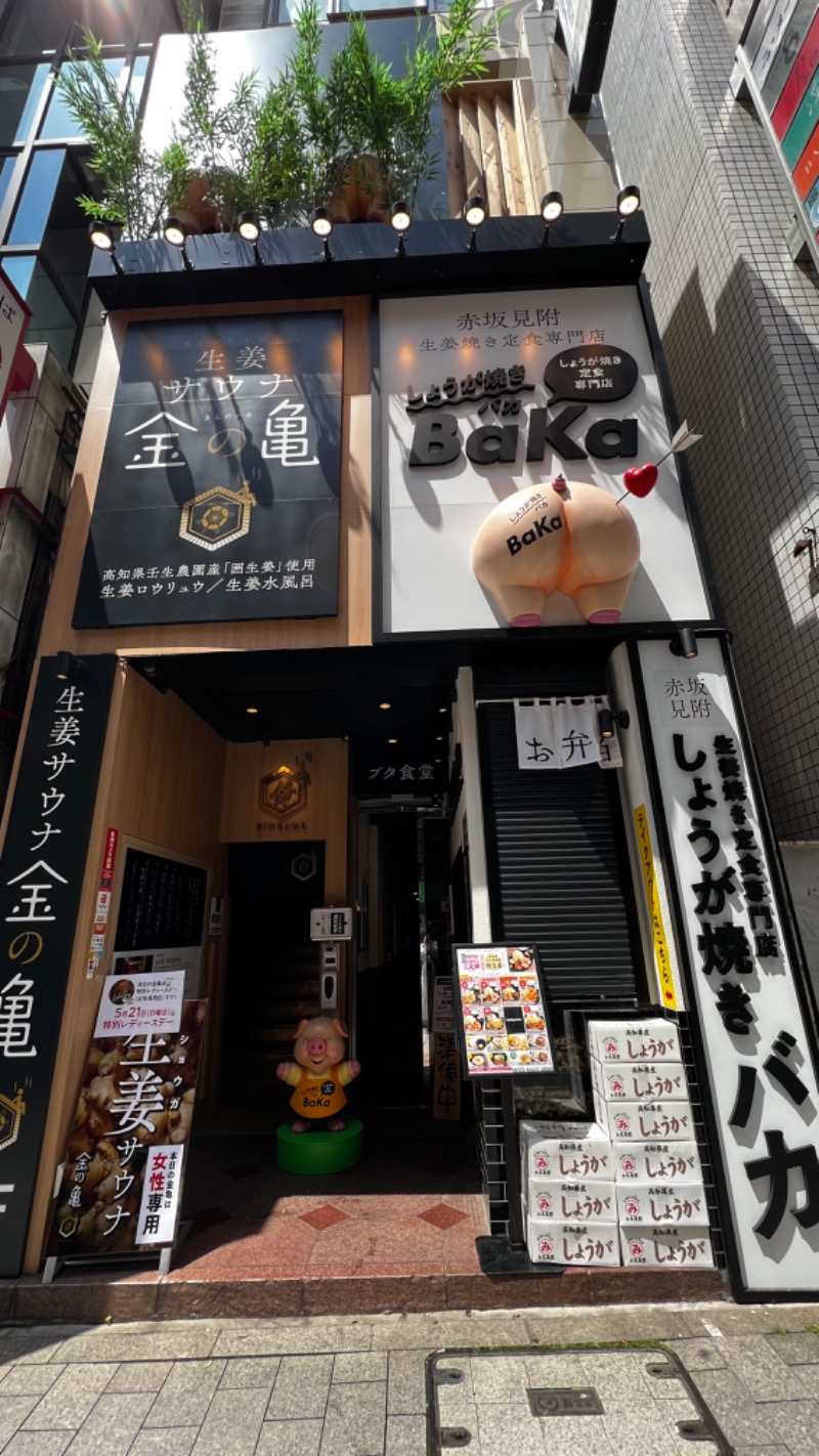 和佳菜さんの生姜サウナ 金の亀のサ活写真